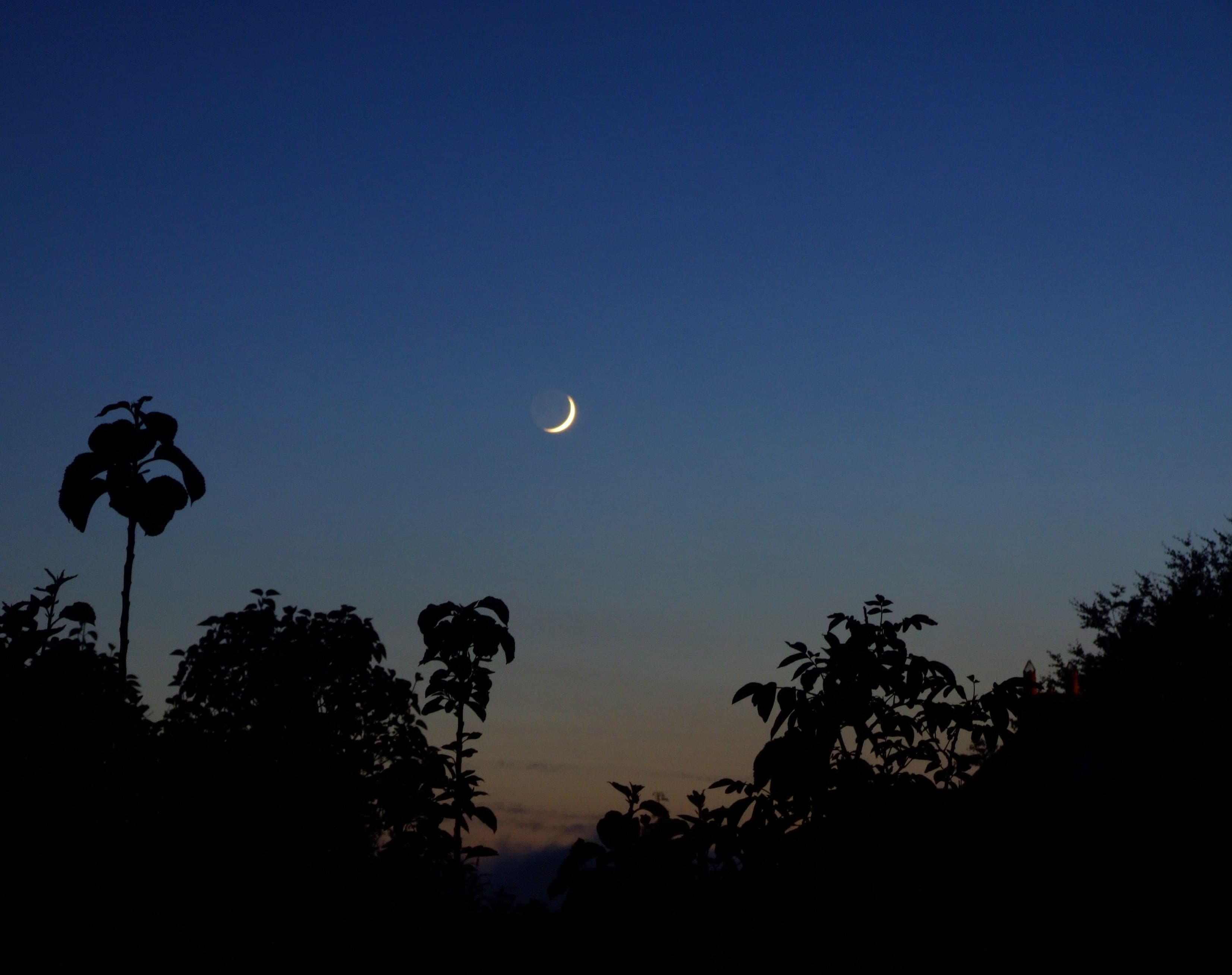 Ramadan 2026: Exact Start Date, Calendar, and Country-by-Country Guide